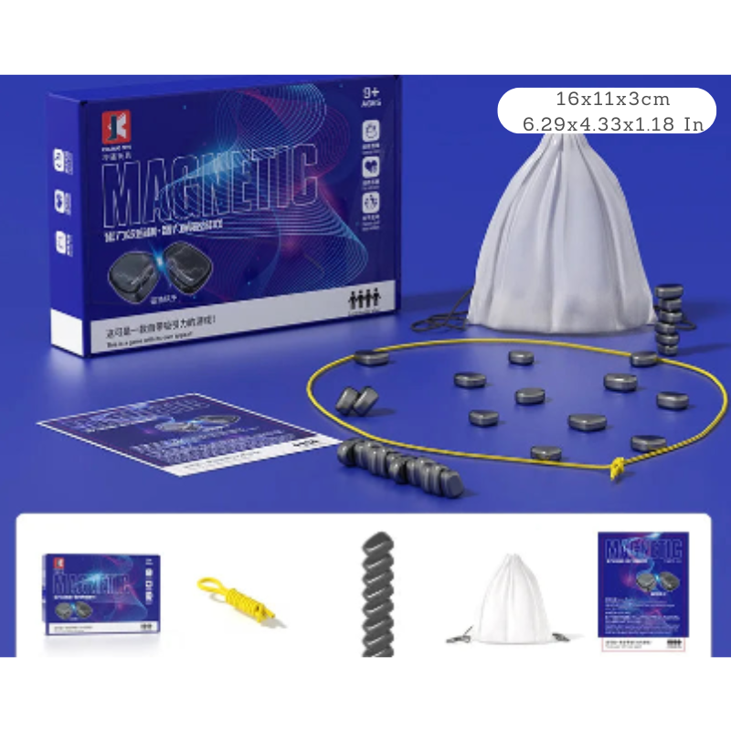 Gioco magnetico portatile
