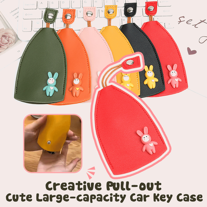 Porte-clés coulissant mignon et pratique