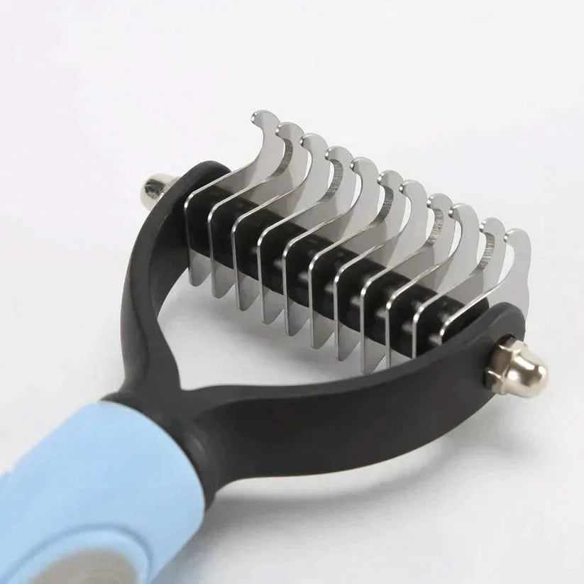 Brush: the ideal accessory for your pet 