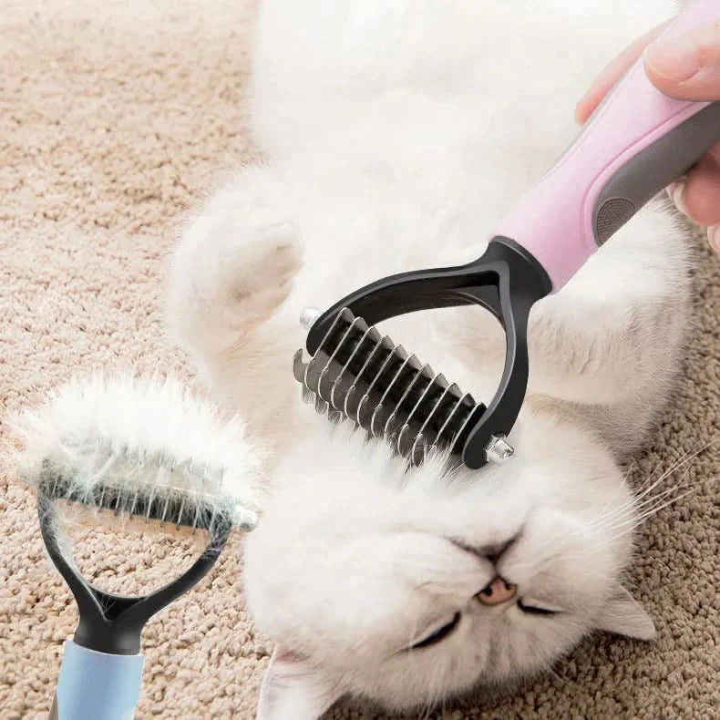 Brush: the ideal accessory for your pet 