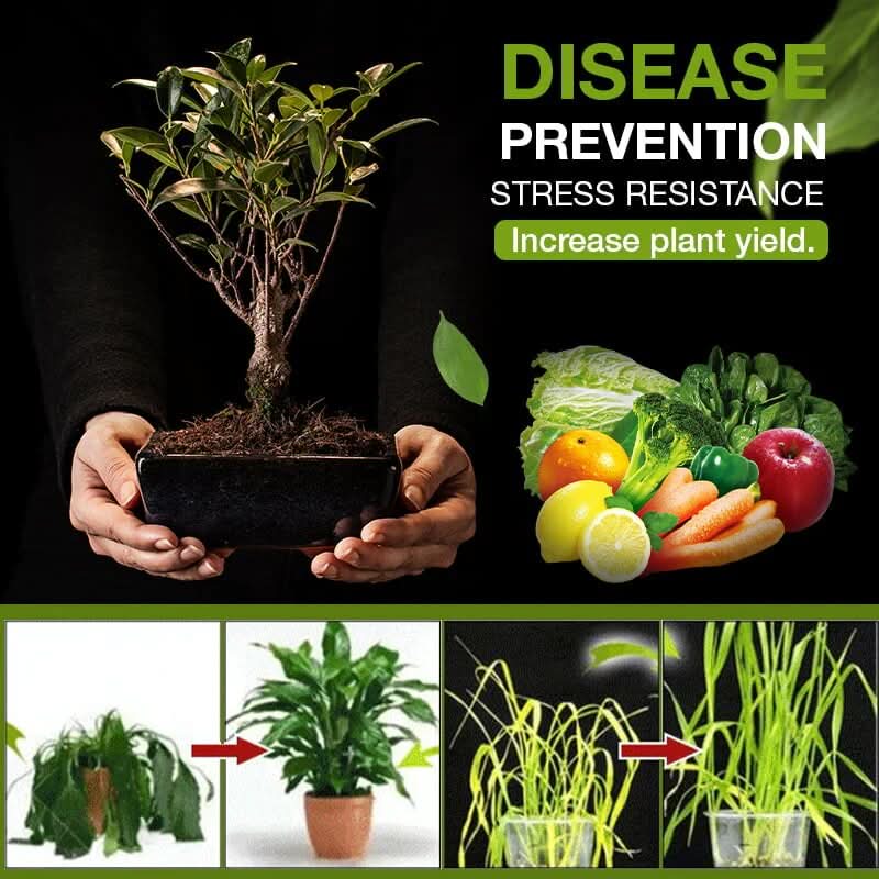 Natürlicher Bodenaktivator für den Garten in 3 Tagen 